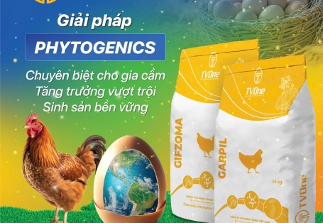 TVONE ngày thứ hai tại Vietstock 2025, hưởng ứng ngày trứng thế giới và giải pháp Phytogenics đặc biệt dành riêng cho gia cầm
